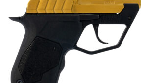 TAURUS 22TUC 22LR BLK/PVD GOLD 9+1