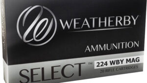 WEATHERBY 224WBY 55GR SPIRE POINT