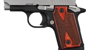 SIG SAUER P238 TWO-TONE 380ACP 7+1 NS
