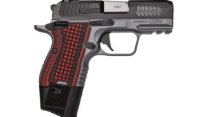 KIMBER CDS9 9MM BLK/GRY 15+1 OR