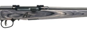 SAVAGE ARMS A17 SPORTER 17WSM BL/LAM 22"