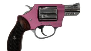 CHARTER ARMS COYOTE 380ACP PINK/SS 2" 5RD