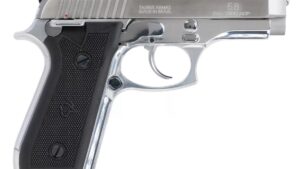 TAURUS 58 380ACP SS FS 15+1