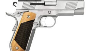 KIMBER NEXT GEN PRO STAINLESS 9MM