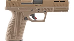 BERSA BP9 FULL SIZE 9MM FDE 17+1