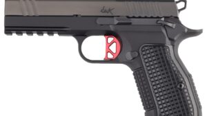 CZ DAN WESSON DW DWX COMPACT 9MM 10+1 OR LR