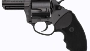 CHARTER ARMS MAG PUG 357M NITRIDE 5RD 2.2"