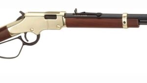 HENRY GOLDENBOY 22WMR - 20.5" OCTAGON LARGE LOOP