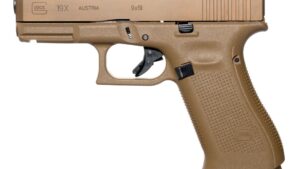 GLOCK G19X G5 9MM 19+1 4.0" FDE GNS