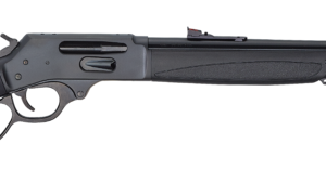 HENRY REPEATING ARMS H9 BEARS LEG 30-30 BL/SY PIST