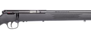SAVAGE ARMS MARK I BOLT 22LR BL/SYN TARG