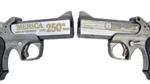 BOND ARMS 250TH REDNECK 45-70 SS 4.25"