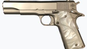ROCK ISLAND ARMORY M1911-A1 GI 45ACP 5" NICKEL