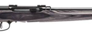 SAVAGE ARMS A17 TARGET 17HMR BL/LAM 22"