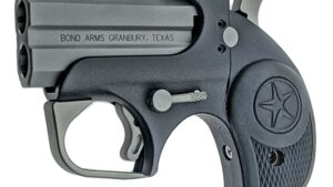 BOND ARMS BACKUP 9MM SS/BLK 2.5" FS