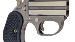 BOND ARMS HONEY-B 22MAG SS 3" FS EXT GRP