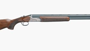 RIZZINI BR110 LIGHT LUXE 20/28 BL/WD