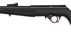 ROSSI RB22 22LR BLK/SYN FLAG 16.5" #