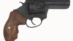 CHARTER ARMS THE PROFESSIONAL 357MAG 4.2"
