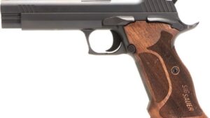 SIG P210 TARGET 9MM 5" ADJ SGT - (2)8RD WALNUT GRIP BLUED