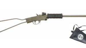 CHIAPPA FIREARMS LITTLE BADGER 22LR 16.5" ODG