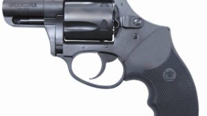 CHARTER ARMS UNDERCOVER COMPACT 38SPC BL 2"