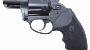 CHARTER ARMS UNDERCOVER 38SPC BL 2"