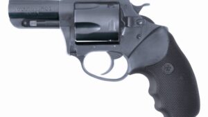 CHARTER ARMS BULLDOG 44SPC BL 2.5"