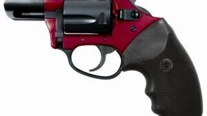 CHARTER ARMS UNDERCOVER LITE 38S RED/BLK 2"
