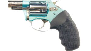 CHARTER ARMS BLUE DIAMOND 38SPC HIPOLISH 2"