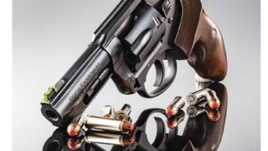 CHARTER ARMS THE PROFESSIONAL 32H&R MAG 3"