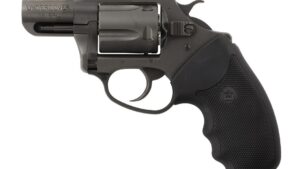 CHARTER ARMS CHARTER UNDERCOVER 38SP NIT 2"