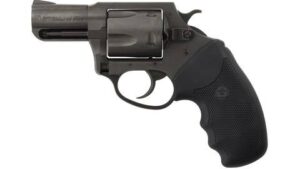 CHARTER ARMS CHARTER PITBULL 40SW NIT 2" FS