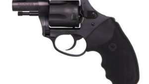 CHARTER ARMS CHARTER BOOMER 44SPC NITRIDE