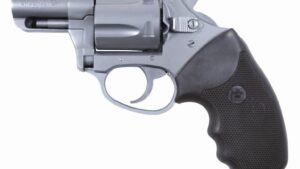 CHARTER ARMS CHARTER UNDERCOVER 38SPC SS 2"