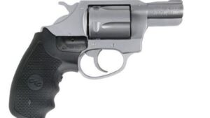 CHARTER ARMS CRIMSON UNDERCOVER 38SP SS 2"