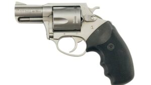 CHARTER ARMS CHARTER PITBULL 40S&W SS 2.3"