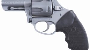 CHARTER ARMS CHARTER BULLDOG 44SPC SS DAO