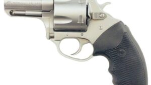 CHARTER ARMS CHARTER PITBULL 45ACP SS 2.5"