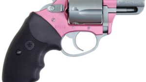 CHARTER ARMS SOUTHPAW 38SPC PINK/SS 2"