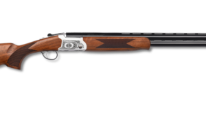 POINTER ACRIUS FIELD 20/26