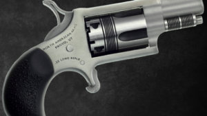 NORTH AMERICAN ARMS THE WASP 22LR REV 1-1/8" SS