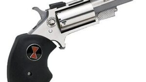NORTH AMERICAN ARMS 22M/22L CON 2" BLK WIDOW SS FS