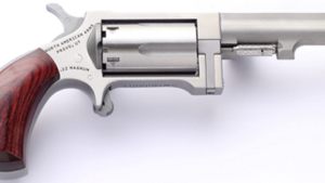 NORTH AMERICAN ARMS SIDEWINDER 22M/22LR 2.5" SS