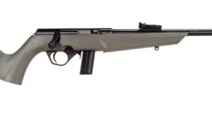 ROSSI RB22 22LR BLK/ODG 16.5" 10+1