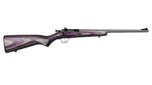 KEYSTONE SPORTING ARMS CRICKETT 22LR SS/PURPLE LAM
