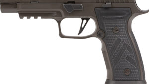 SIG P320 AXG LEGION 9MM 3.9" - XRAY-3 (3)21RD GREY CERAKOTE