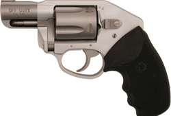 CHARTER ARMS OFF DUTY 38SPL - CONCEALED HAMMER 2" ANODIZED