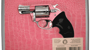 CHARTER ARMS CHIC LADY 38SPL - 2" PINK/SS