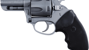 CHARTER ARMS BULLDOG 44SPL - 2.5" S/S